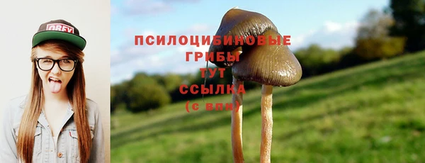 кокаин премиум Козловка